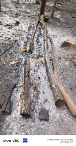 निगम के रवान रेंज में धू-धू कर जला जंगल लाखों की सागौन व मिश्रित प्रजाति की लट्ठा बल्ली जलाऊ चट्टा कोयले व राख में तब्दील।